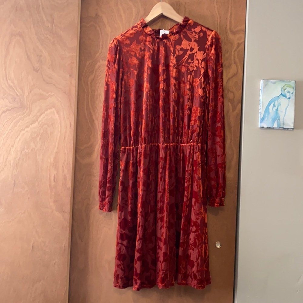 Burnt orange velvet floral dress, Banana Republic Women’s L NWT